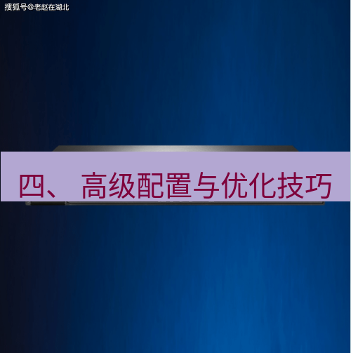快连VPN 四、 高级配置与优化技巧