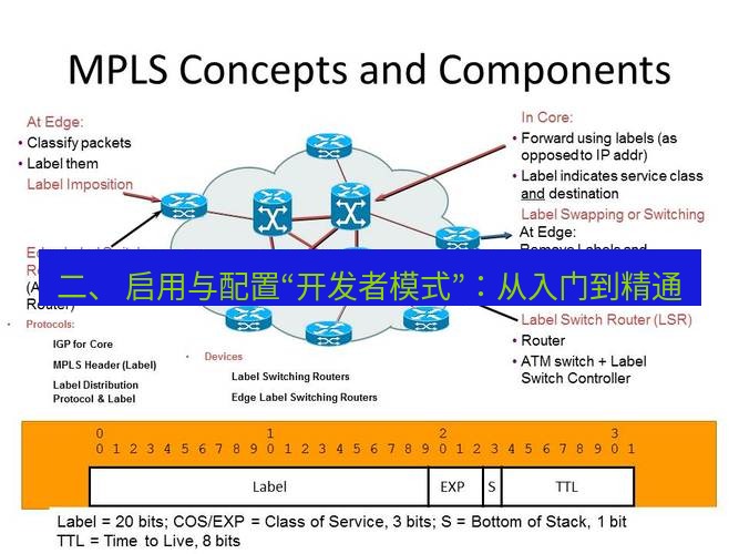 快连VPN 二、 启用与配置“开发者模式”：从入门到精通