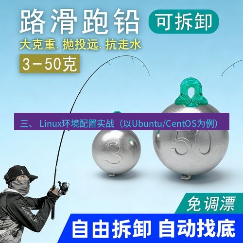 快连 三、 Linux环境配置实战（以Ubuntu/CentOS为例）