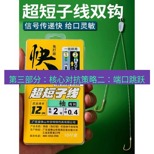 快连 第三部分：核心对抗策略二：端口跳跃