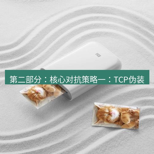 快连 第二部分：核心对抗策略一：TCP伪装