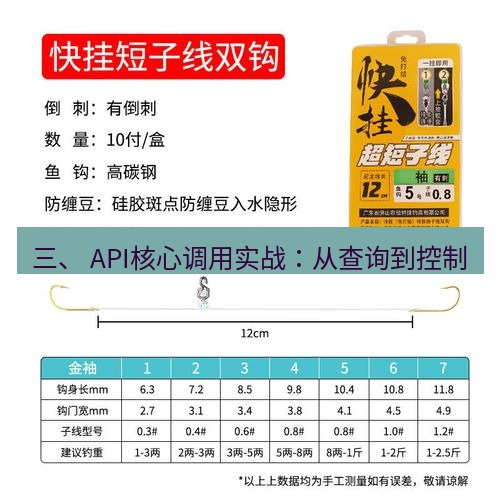 快连 三、 API核心调用实战：从查询到控制